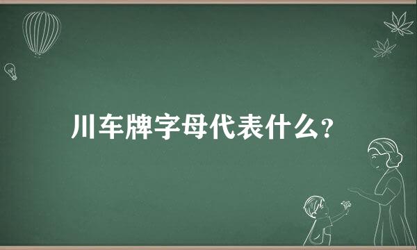 川车牌字母代表什么？