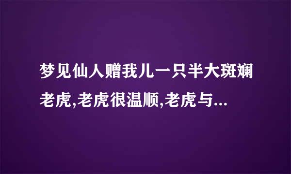 梦见仙人赠我儿一只半大斑斓老虎,老虎很温顺,老虎与我儿同行,是什么意思？