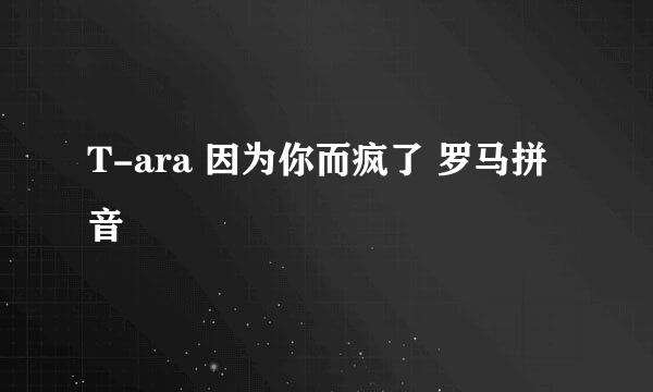 T-ara 因为你而疯了 罗马拼音