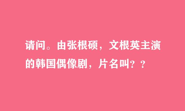 请问。由张根硕，文根英主演的韩国偶像剧，片名叫？？