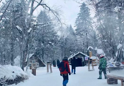 黑龙江日报发文为雪乡喊冤，雪乡都有哪些被吐槽的地方？