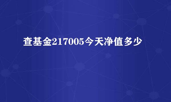 查基金217005今天净值多少