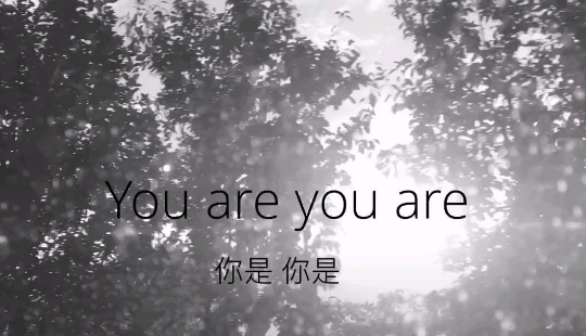 you are you are是什么意思？