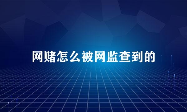 网赌怎么被网监查到的