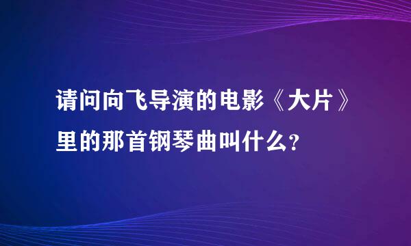 请问向飞导演的电影《大片》里的那首钢琴曲叫什么？