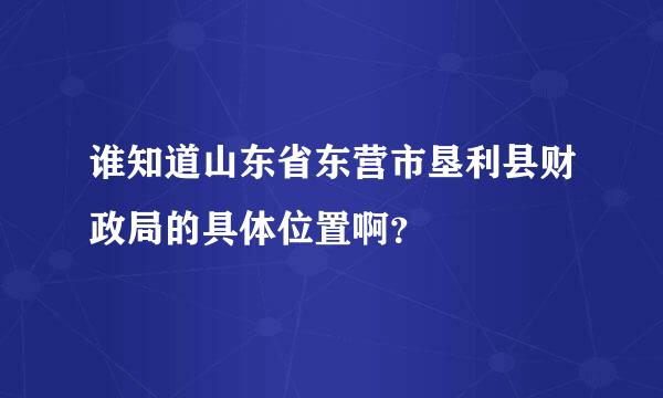 谁知道山东省东营市垦利县财政局的具体位置啊？