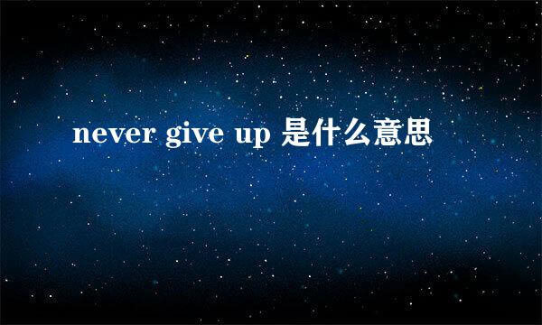 never give up 是什么意思