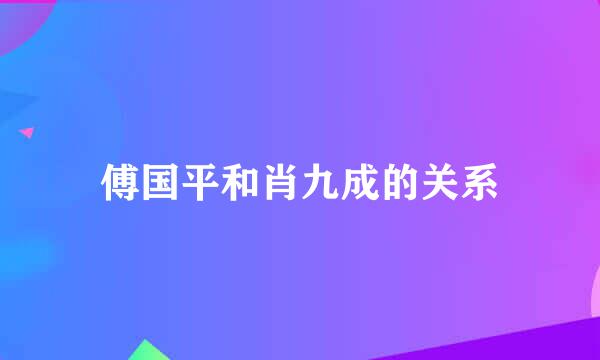 傅国平和肖九成的关系