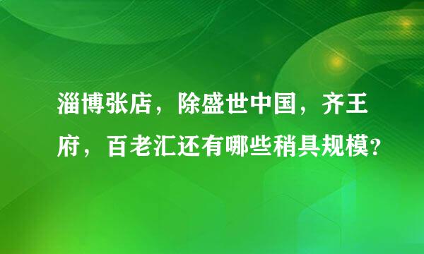 淄博张店，除盛世中国，齐王府，百老汇还有哪些稍具规模？