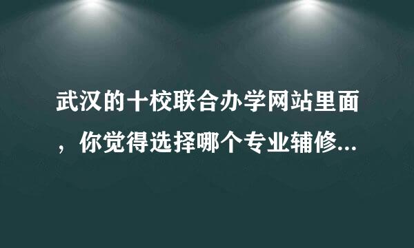 武汉的十校联合办学网站里面，你觉得选择哪个专业辅修比较好类？