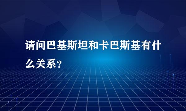 请问巴基斯坦和卡巴斯基有什么关系？