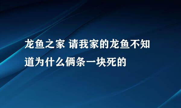 龙鱼之家 请我家的龙鱼不知道为什么俩条一块死的