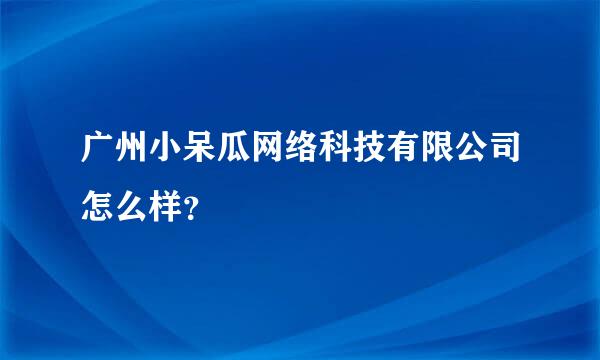 广州小呆瓜网络科技有限公司怎么样？