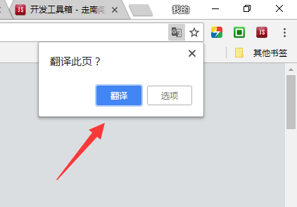 我的google浏览器整站翻译按钮不见了