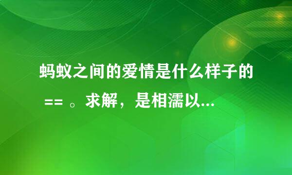 蚂蚁之间的爱情是什么样子的 == 。求解，是相濡以沫的吗 -0-