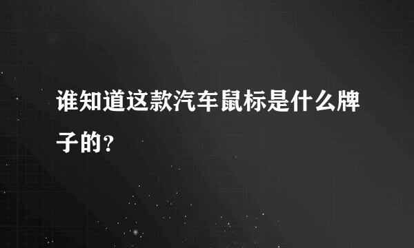 谁知道这款汽车鼠标是什么牌子的？