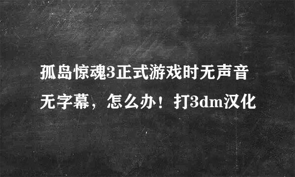 孤岛惊魂3正式游戏时无声音无字幕，怎么办！打3dm汉化