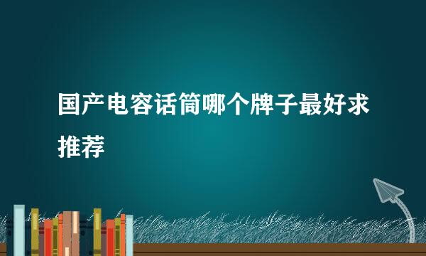 国产电容话筒哪个牌子最好求推荐