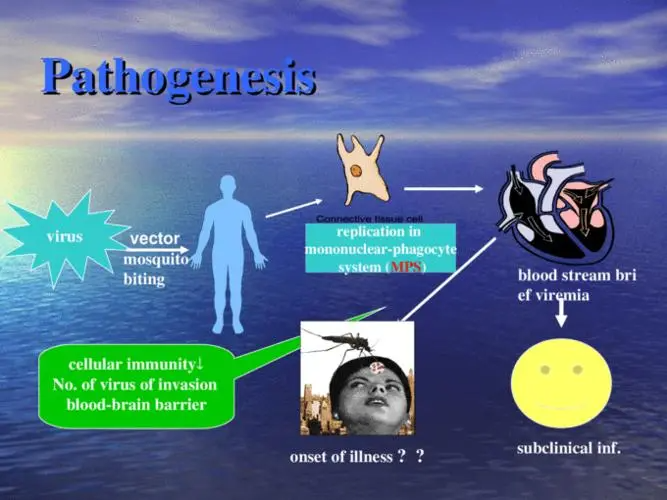 epidemic是什么意思