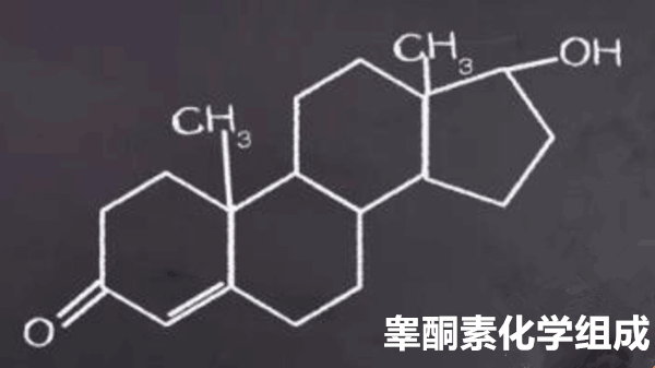 什么是睾酮素，对身体有什么作用啊