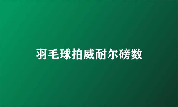 羽毛球拍威耐尔磅数