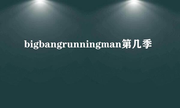 bigbangrunningman第几季