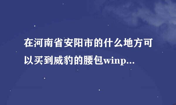 在河南省安阳市的什么地方可以买到威豹的腰包winpard6149