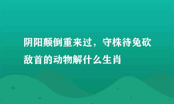 阴阳颠倒重来过，守株待兔砍敌首的动物解什么生肖