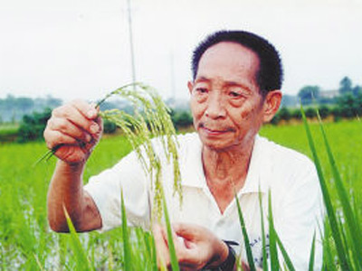 袁隆平雕像前布满花海，袁隆平因什么疾病去世？