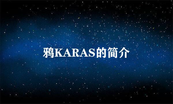 鸦KARAS的简介