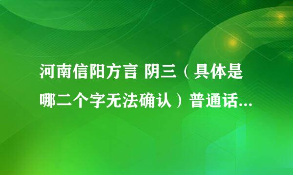 河南信阳方言 阴三（具体是哪二个字无法确认）普通话是什么意思？我们公司领导是河南人，骂人老爱用这