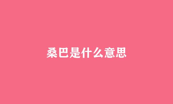 桑巴是什么意思