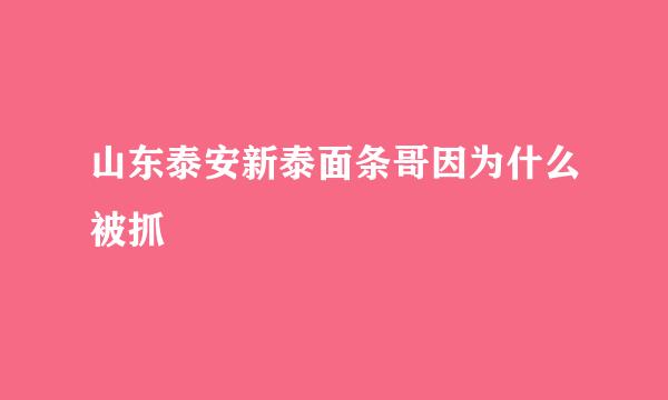 山东泰安新泰面条哥因为什么被抓