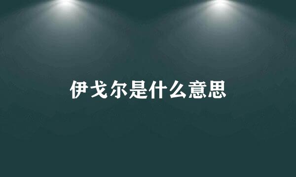 伊戈尔是什么意思