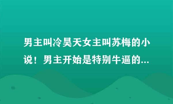 男主叫冷昊天女主叫苏梅的小说！男主开始是特别牛逼的外科医生，在女主父亲的医院工作！女主读初中的时候