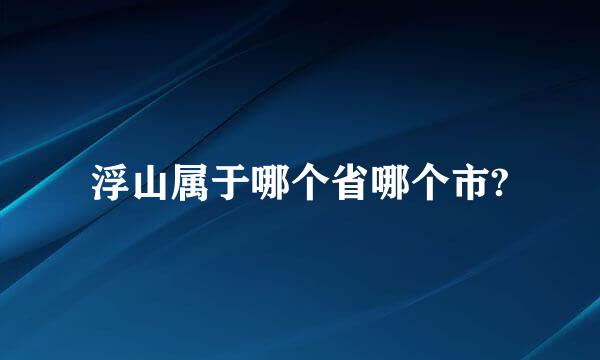 浮山属于哪个省哪个市?