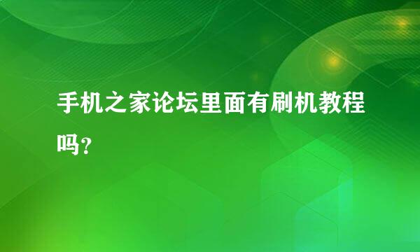 手机之家论坛里面有刷机教程吗？