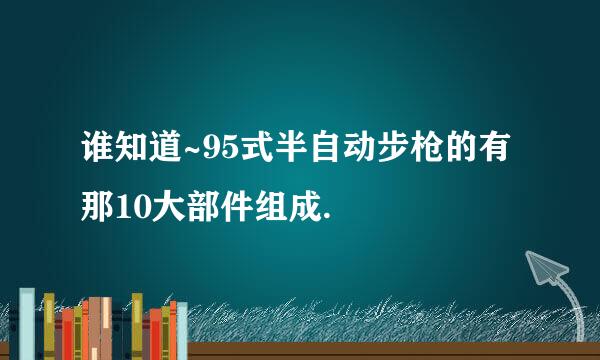 谁知道~95式半自动步枪的有那10大部件组成.