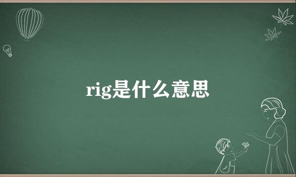 rig是什么意思