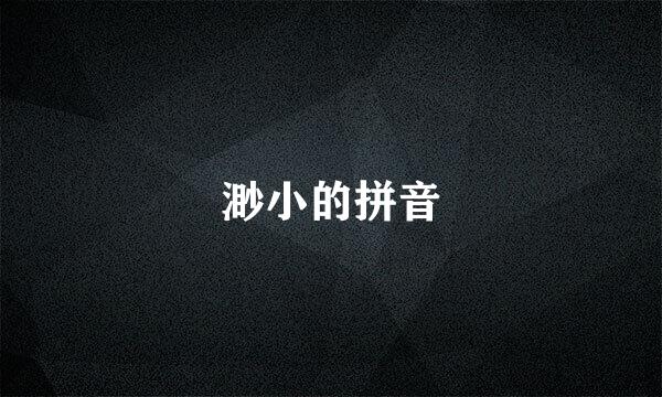 渺小的拼音