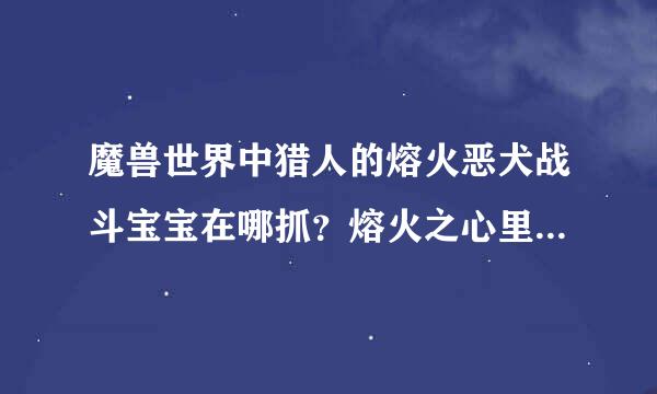 魔兽世界中猎人的熔火恶犬战斗宝宝在哪抓？熔火之心里的不能抓啊