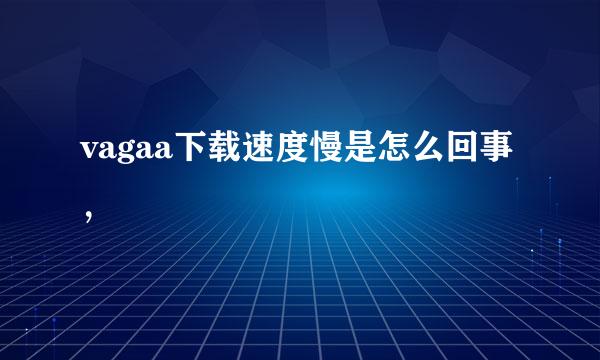 vagaa下载速度慢是怎么回事，