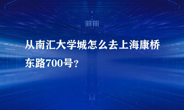 从南汇大学城怎么去上海康桥东路700号？