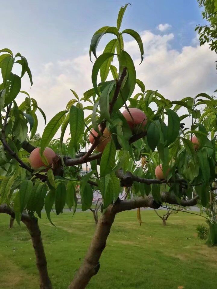 四川现代职业学院怎么样