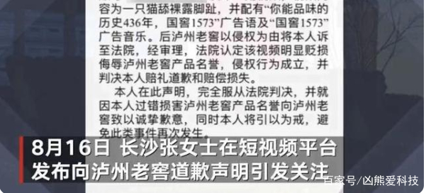 泸州老窖通过法律途径维护自己的权益，为何却遭到了网友的不理解？