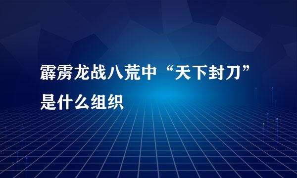 霹雳龙战八荒中“天下封刀”是什么组织