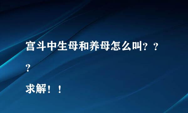 宫斗中生母和养母怎么叫？？？
求解！！