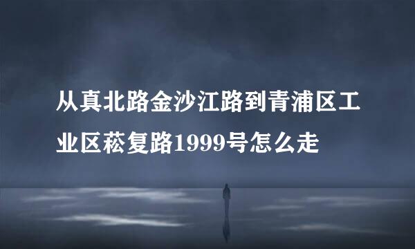 从真北路金沙江路到青浦区工业区菘复路1999号怎么走