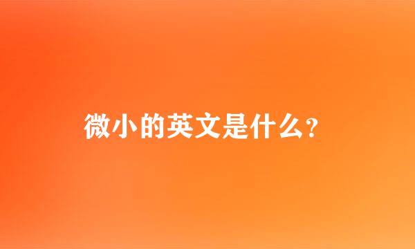 微小的英文是什么？