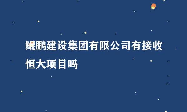 鲲鹏建设集团有限公司有接收恒大项目吗